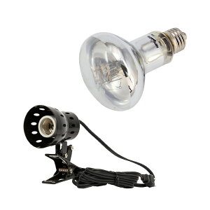 OW@REPTIZOO@X[p[TUV@75W@{@NbvvX^h@঒ށ@O@֓