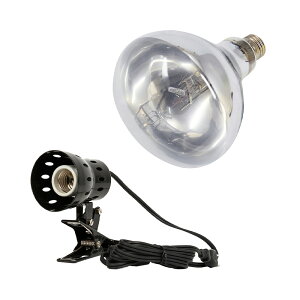 OW@REPTIZOO@X[p[TUV@125W@{@NbvvX^h@঒ށ@O@֓