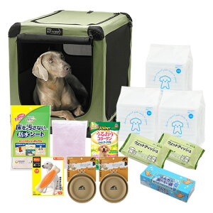 p@hЃZbg@^i\tN[gF܂jiEt[hȂj@p@ЊQ@180TCY@2