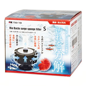 J~n^@I@oNgT[W@X|WtB^[@S@֓