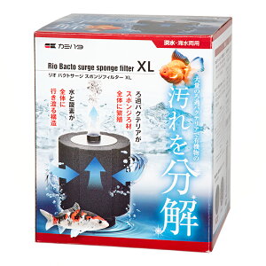 J~n^@I@oNgT[W@X|WtB^[@XL@֓