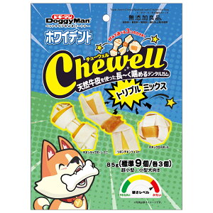 ܖF2026N0131@hM[}@zCfg@Chewell@gv~bNX@85giW9^e3j@֓