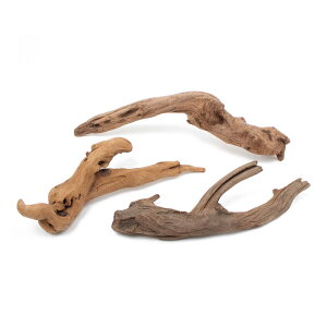 `󂨔C@ύݍς݁@㎿؁@`݂с`@LTCYi35`45cmj@3{@ANAE@CAEgfށ@؁@֓