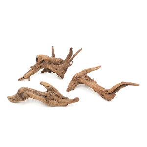 `󂨔C@ύݍς݁@㎿؁@`݂с`@MTCYi25`35cmj@3{@ANAE@CAEgfށ@؁@֓