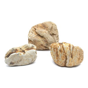 `󂨔C@k΁@MTCYi12`17cmj@3@ANAE@CAEgfށ@֓