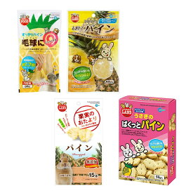 マルカン　パイン好きな子のためのおやつセット　小動物　おやつ　関東当日便