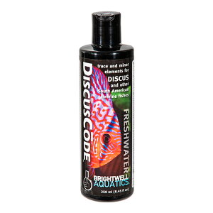 Brightwell@fBXJXR[h@250ml@֓