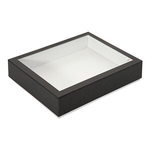 バードウィング製 UVカット紙製標本箱 ミニ (幅25×奥行き20×高さ5.5cm) 昆虫 蝶 甲虫 標本ケース 関東当日便