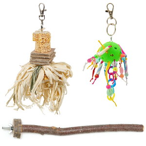 [t@^CRp@3_Zbg@@Ƃ܂؁@֓