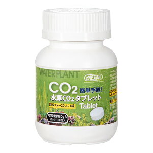 AY[@CO2^ubg@80g@֓