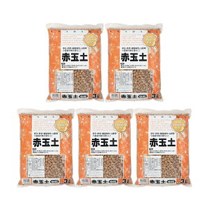 y@˃ԉ@ԋʓy@@3bg×5@|@Ppy@ll1_@֓