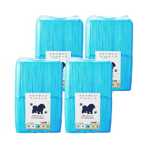 RXpybgV[c@1ĝă^Cv@Ch@100×4@֓