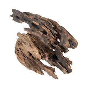 J~n^@`󂨔C@rXEbh@S@CAEg@֓