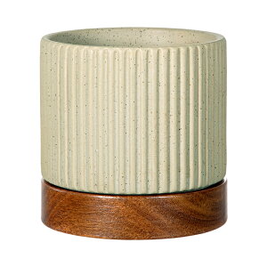 ^CfB|bg@O[@3D5@Aؔ@@ϗtA@֓