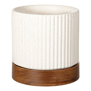 �^�C�f�B�|�b�g�@�z���C�g�@4�D5�����@�A�ؔ��@�������@�ϗt�A���@�֓�������