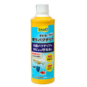 eg@키oNeA@MK55@300ml@֓