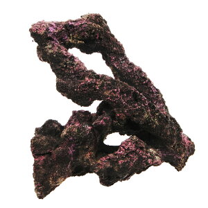 ORCA@OCEAN@ROCK@JB2@22×19×16cm@CubNvJ@֓