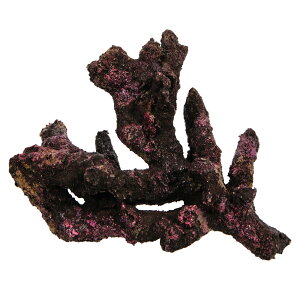 ORCA@OCEAN@ROCK@JB7@24×13×20cm@CubNvJ@֓