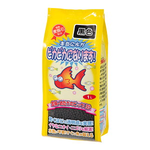 \lP~t@@E߂̃rbN@@1L@֓