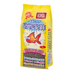 \lP~t@@E߂̃rbN@@1L@֓