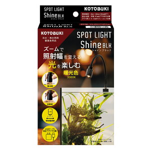 RguLH|@X|bgCg@VC@ubN@֓