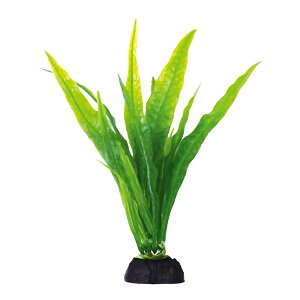 RguLH|@PON|VO@~N\E@֓