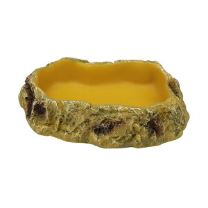 OW@REPTIZOO@t[hfBbV@XS@঒ށ@GTM@֓