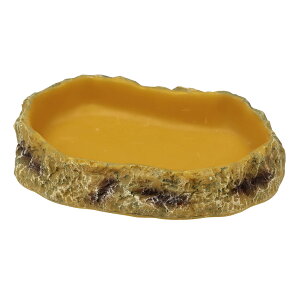 OW@REPTIZOO@t[hfBbV@S@঒ށ@GTM@֓