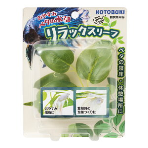 RguLH|@x^̐@LXS^Cv@֓