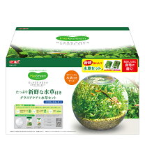 楽天市場】水槽セット ラクテリアの通販