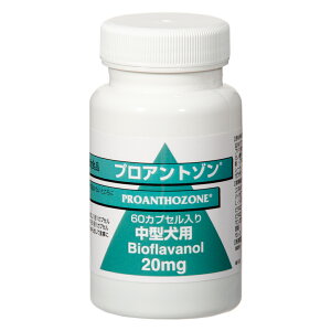 @vAg]@p@20mg@60@֓