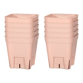 プレミアムプレステラ　75型　ピンク　10個セット　関東当日便