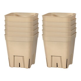 プレミアムプレステラ　75型　ブラウン　10個セット　関東当日便