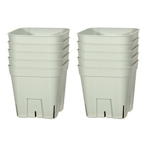 v~AvXe@90^@O[@10Zbg@֓