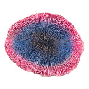 At@ebN@XL|S1785@vJTS@sNu[@֓