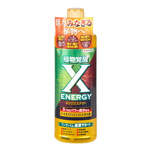 ZFw|@X]ENERGYiGbNXGiW[j600ml@֓