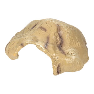 OW@RZ@nChP[@M@EHR07M@঒ށ@VF^[@BƁ@֓