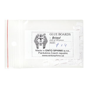 チェコ製 小型昆虫貼り付け台紙 8×4mm 100枚入り 関東当日便