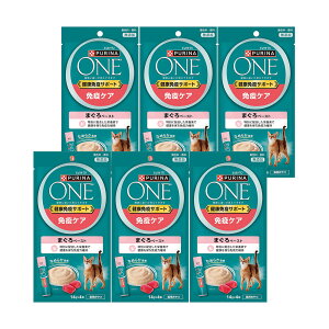 si@@NƉuT|[g@ƉuPA@܂y[Xg@56g×6@֓