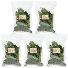 5袋セット　国産　パパイヤの葉　30g×5袋　お徳用パック　小動物用のおやつ　無添加　無着色　うさぎ　モルモット　毛球ケア　お一人様3点限り　関東当日便