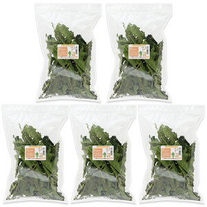 5܃Zbg@Y@ppC̗t@30g×5܁@ppbN@p̂@Y@F@@bg@ыPA@ll3_@֓