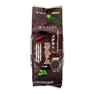 J~n^@_J̒Fy@1L@ANAE@\C@֓