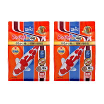 楽天市場】錦鯉 20cmの通販