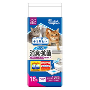 GG[@L~@ptLERہ@VXegCpV[g@lRp@16@֓