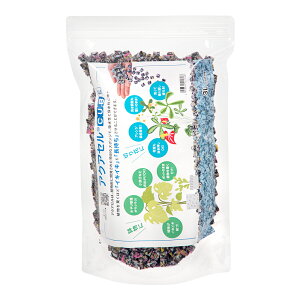 ANAZL[u@3L@T|[gށ@֓