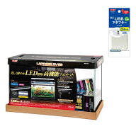 GEX　ラピレスRV60GT　LEDセット　USBアダプター付き　60cm水槽セット　照明・フィルター・ヒーター付き…
