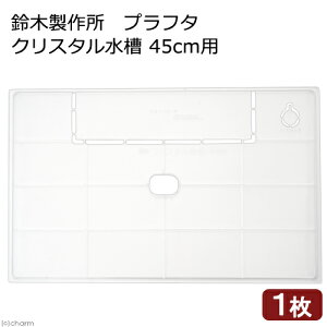 ؐ쏊@vt^@NX^@45cmp@@t^@֓