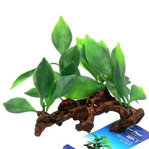 eg@Ebhvg@WP|1@lH@ANZT[@Mы@@_J@֓