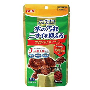 GEX@JC@voCIt[h@65g@֓