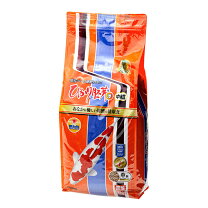 楽天市場】錦鯉 20cmの通販